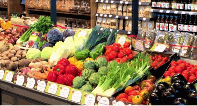 Odoo- Echantillon n° 3 pour trois colonnes